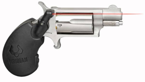 NAA MINI-REV W/VL 22MG SGL STS 11/8