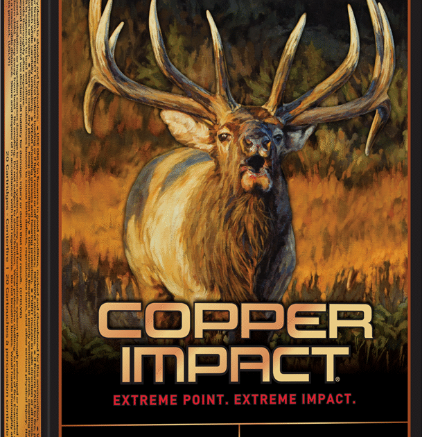 WINCHESTER COPPER IMPCT 300WM 180G LF 20RD BX 200RD CASE