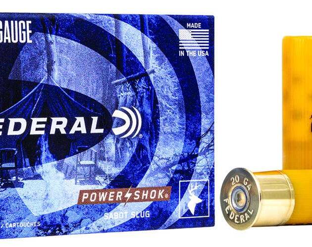 FEDERAL 20GA 2-3/4" MAX 7/8OZ SABOT 5 RD/BX 50 BX/CS