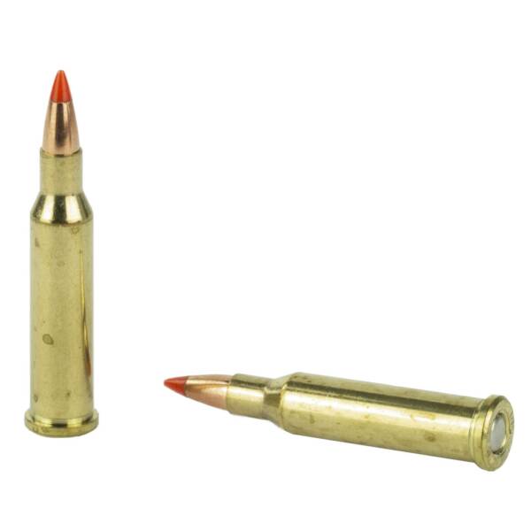 HORNADY SUPERFORMANCE VARMINT 17HORNET 20GR V-MAX 25RD BX 250RD CASE - Image 3