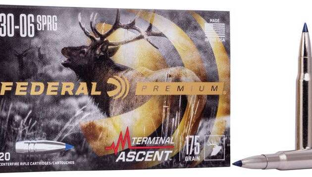 FEDERAL 3006 SPRG 175GR TERMINAL ASCENT 20 RD/BX 10 BX/CS