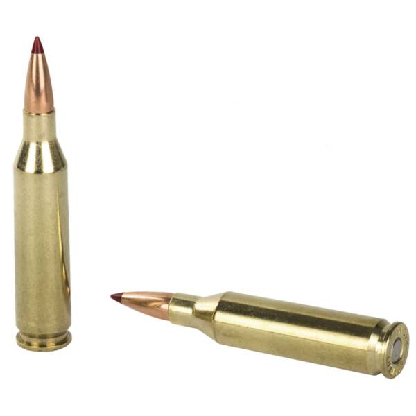 HORNADY PRECISION HUNTER 243 WIN 90GR ELD-X 20RD BX 200RD CASE - Image 3