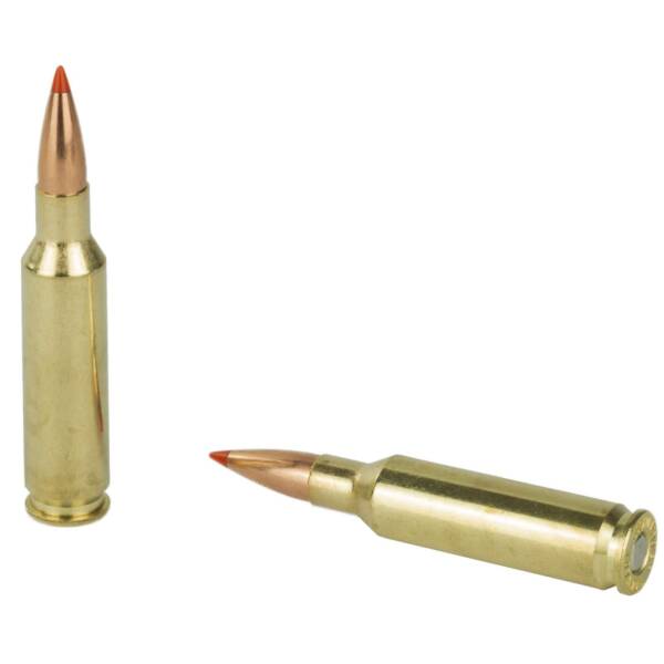 HORNADY VARMINT EXPRESS 6.5CM 95G V-MAX 20RD BX 200RD CASE - Image 3