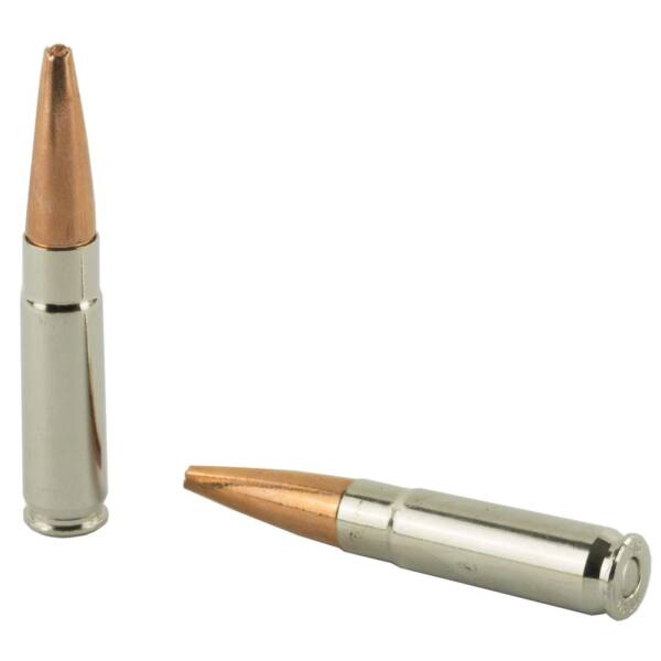 SIG SAUER ELITE HUNTING 300 BLK HT 120GR 20RD - Image 3