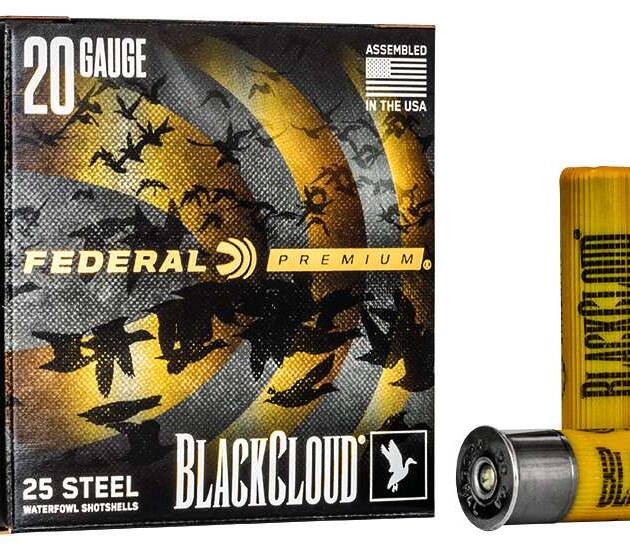 FEDERAL 20GA 3" 1OZ 2 25 RD/BX 10 BX/CS
