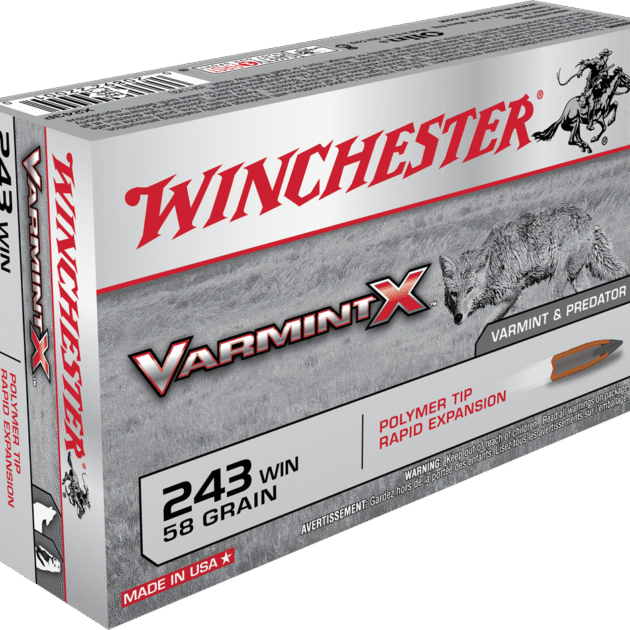 WINCHESTER SPR-X 243WIN 58GR PT