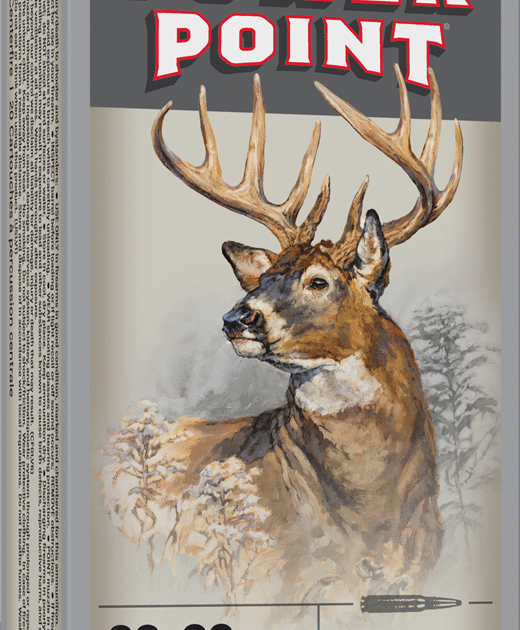 WINCHESTER POWER POINT 30-30WIN 170GR 20RD BX 200RD CASE