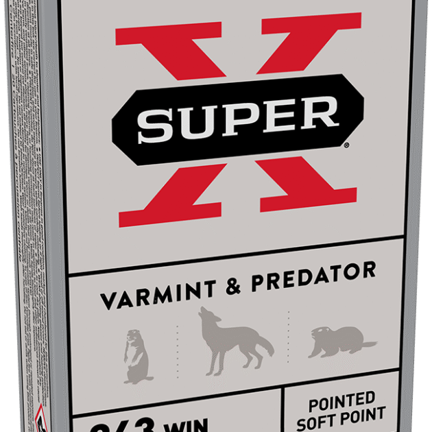 WINCHESTER SPR-X 243WIN 80GR PSP