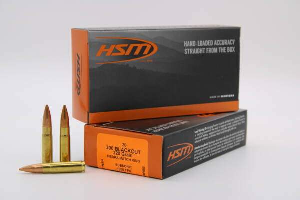 HSM AMMO 300 AAC 220GR HPBT SUB 20RD BOX 25 BOXES PER CASE