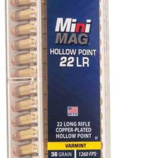 CCI 22 LR MINI MAG  36GR HP 100 RD/BX 50 BX/CS - .22 LR 0.13 Brass