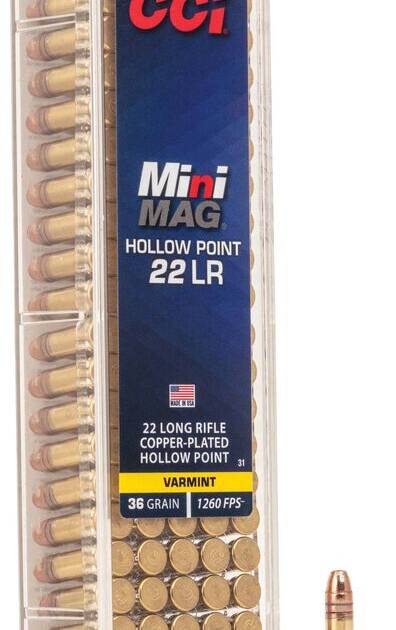 CCI 22 LR MINI MAG  36GR HP 100 RD/BX 50 BX/CS