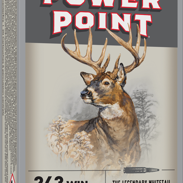WINCHESTER SPR-X 243WIN 100GR PP