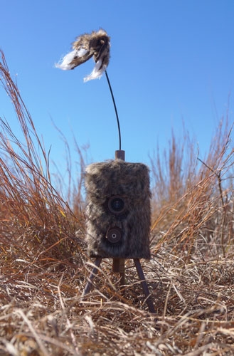 MOJO SUPER CRITTER W/CRITTER - TOPPER & SPEAKER